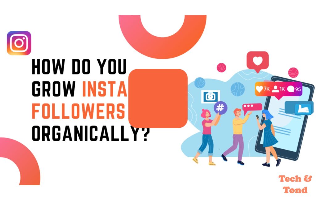 Run a Successful Instagram Follower Campaign